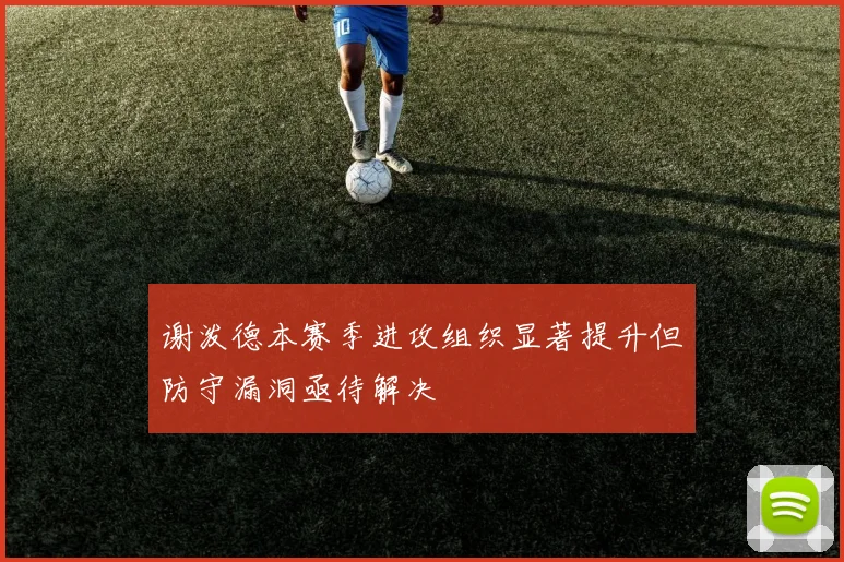 谢泼德本赛季进攻组织显著提升但防守漏洞亟待解决